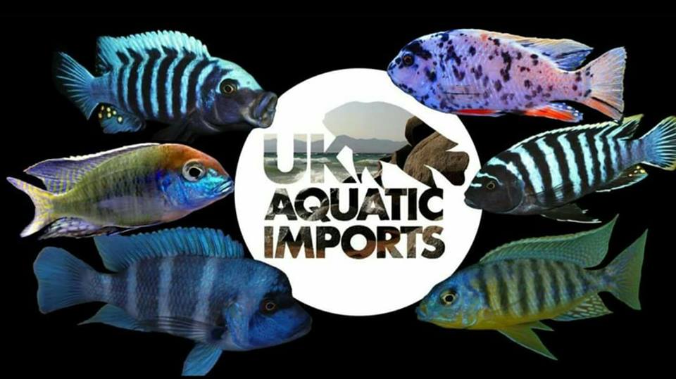 uk aquatic imports